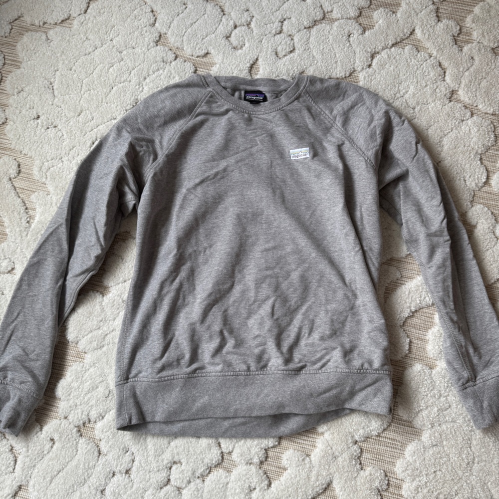 Patagonia sweatshirt